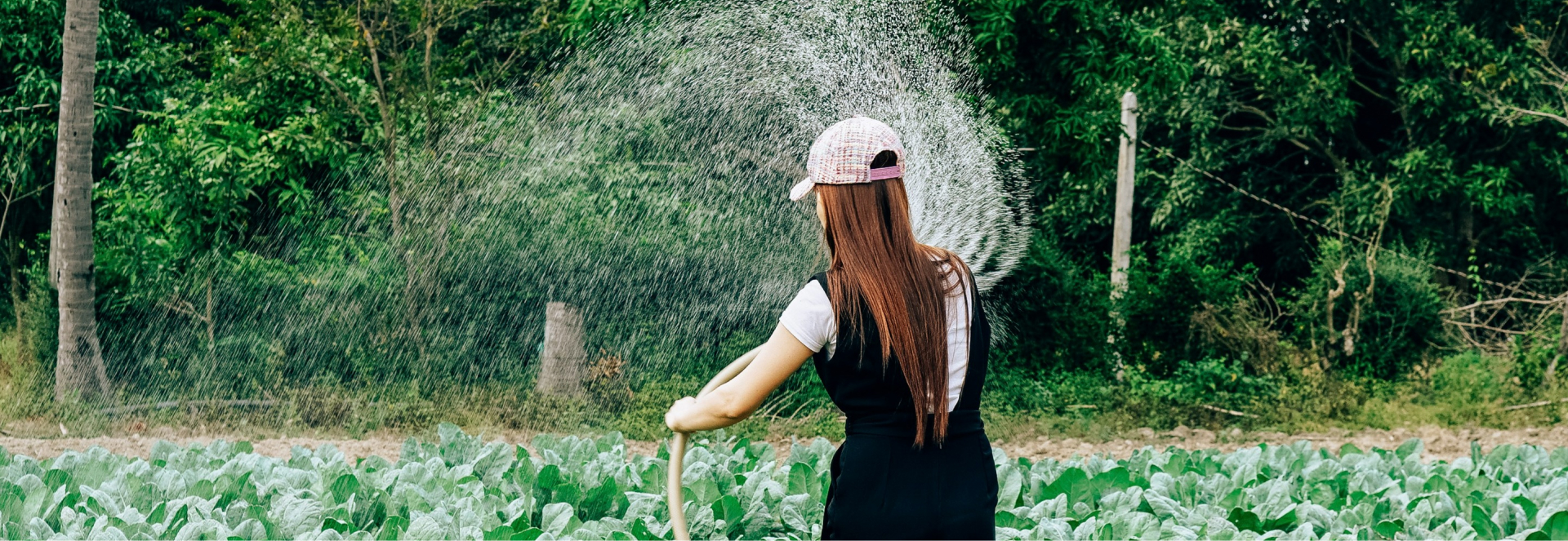 The Data Collection Survey on ASEAN-JICA Food Value Chain Development Project