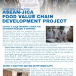 AJFVC Project Update Newsletter 11