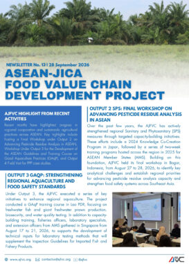 AJFVC Project Update Newsletter 13